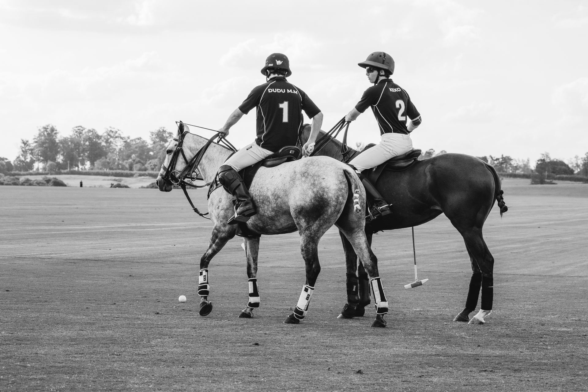 Two polo players on horseback on a field, wearing helmets and jerseys numbered 1 and 2.