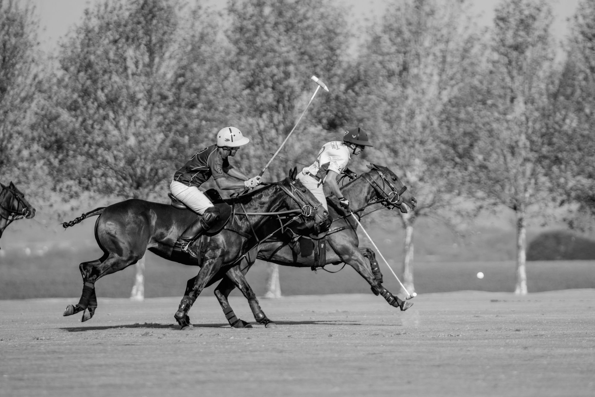 Two polo players on horseback, swinging mallets. Green field, fall foliage.
