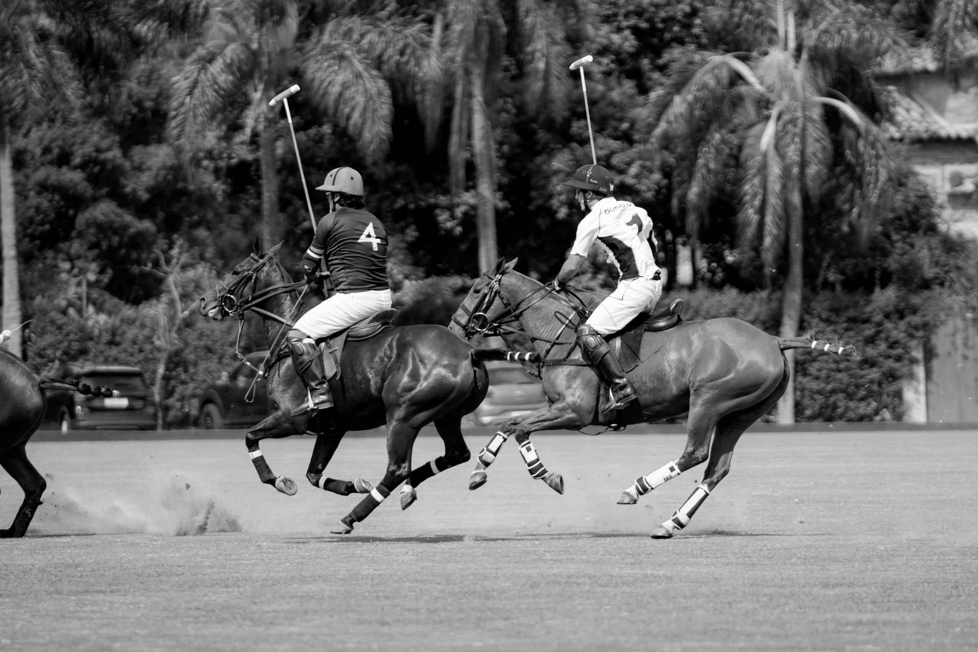 Polo players on horseback, swinging mallets. One horse kicks up dirt on a grassy field, trees in the background.
