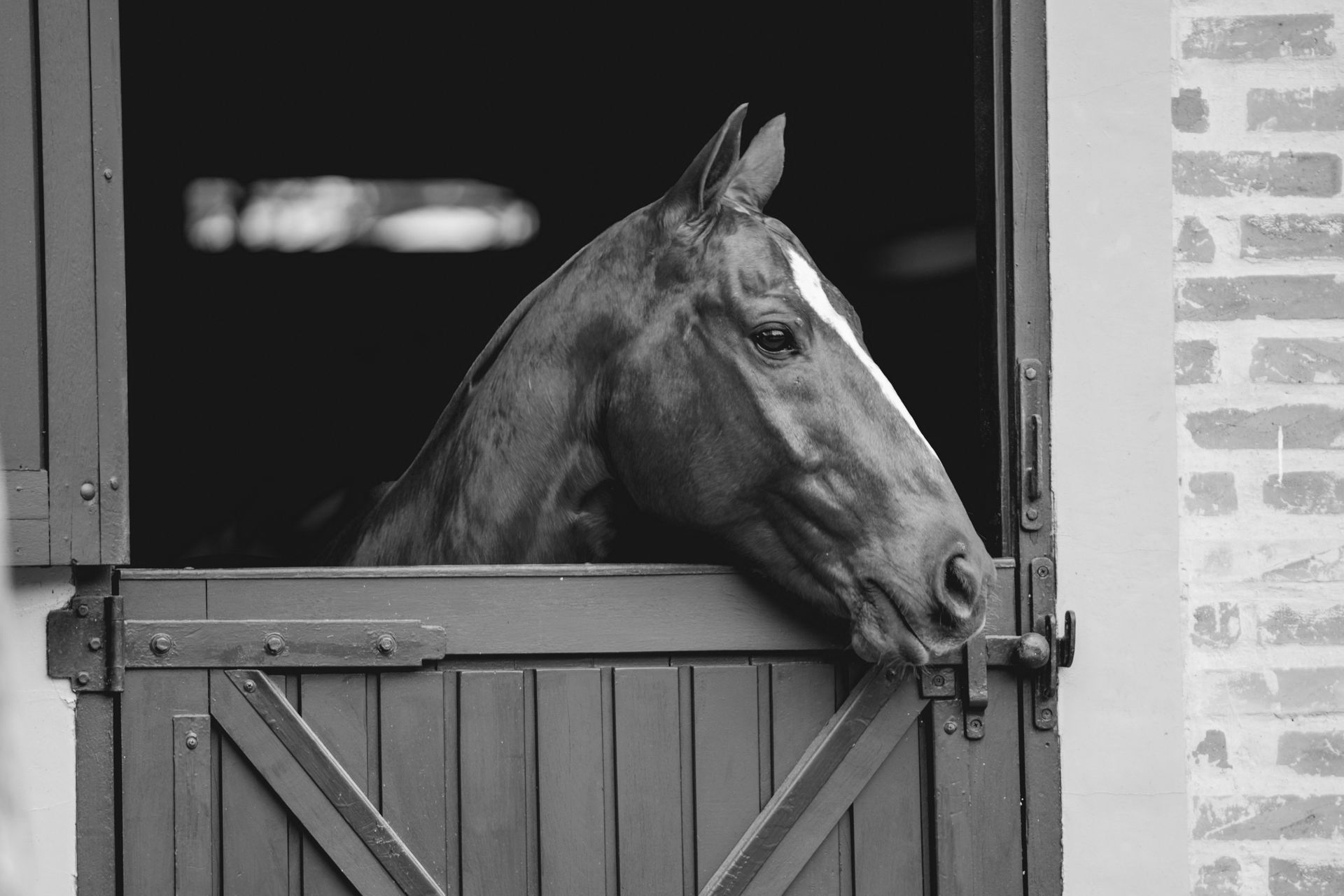 Chestnut horse head peeking out of a brown stable door, against a red brick wall.