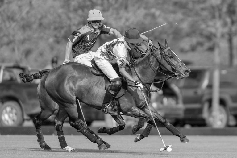 Two polo players on horseback, one reaching for the ball with a mallet.