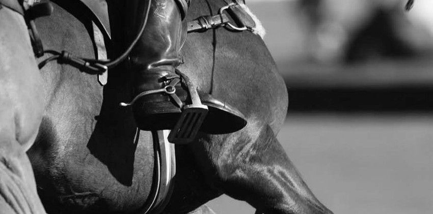 Black and white photo shows a horse's side with saddle, stirrup, and rider's leg.