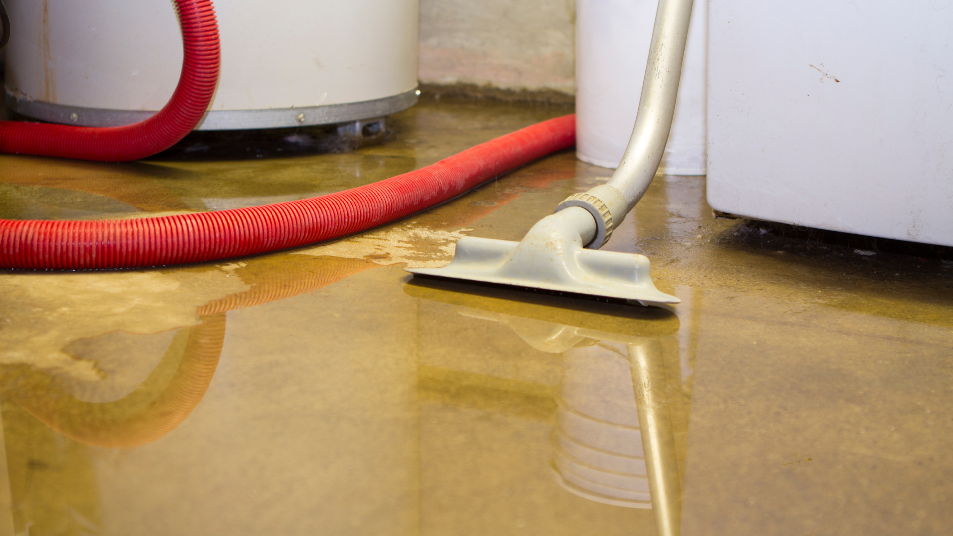 A vacuum cleaner is cleaning a flooded basement floor.