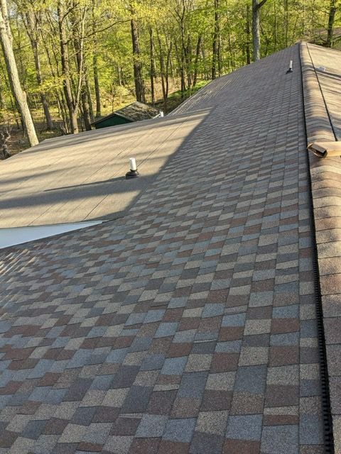 A close up of a roof with trees in the background
