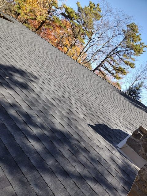 A close up of a roof with trees in the background