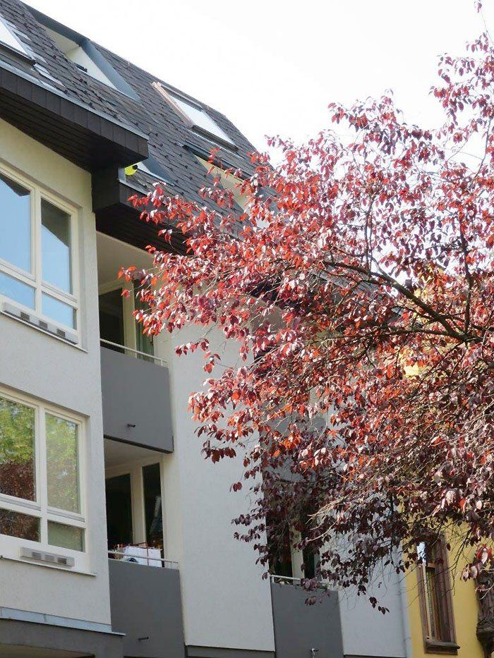 Gebäude mit weißer Fassade, Balkonen und einem Baum mit roten Blättern.