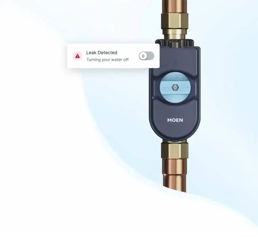 Water and leak detection monitor