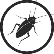 roaches — Pest Control Services in Bend, OR