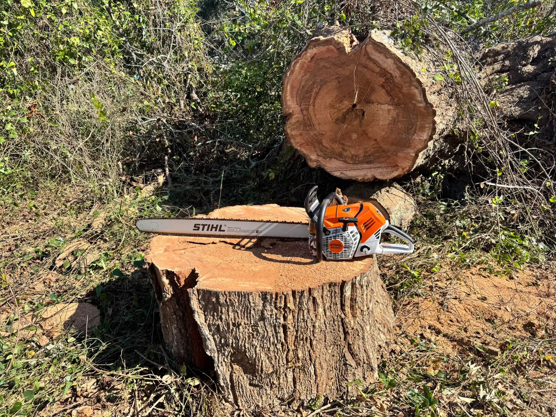 Chainsaw on a tree stump with a cut log in the background; outdoor setting, brown and green hues.