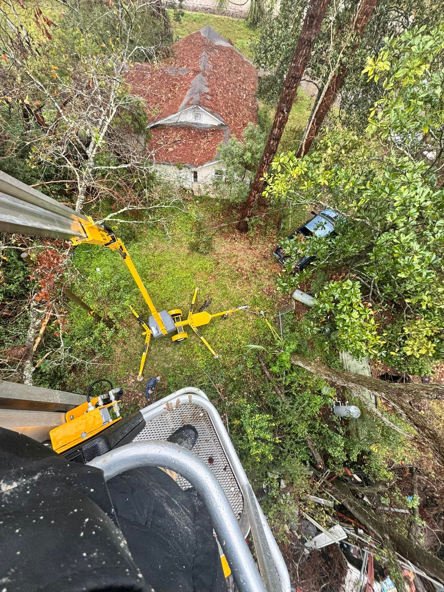 View from lift: yellow equipment among green trees, with red mulch and roof visible in the background.