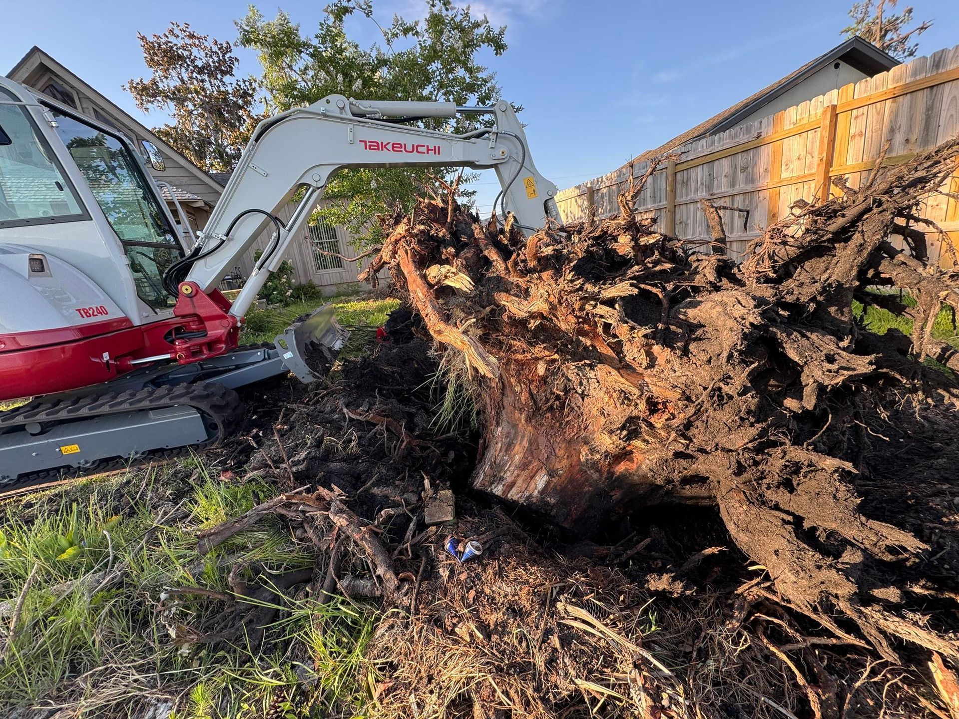 Mini excavator removing a large tree root system next to a wooden fence.