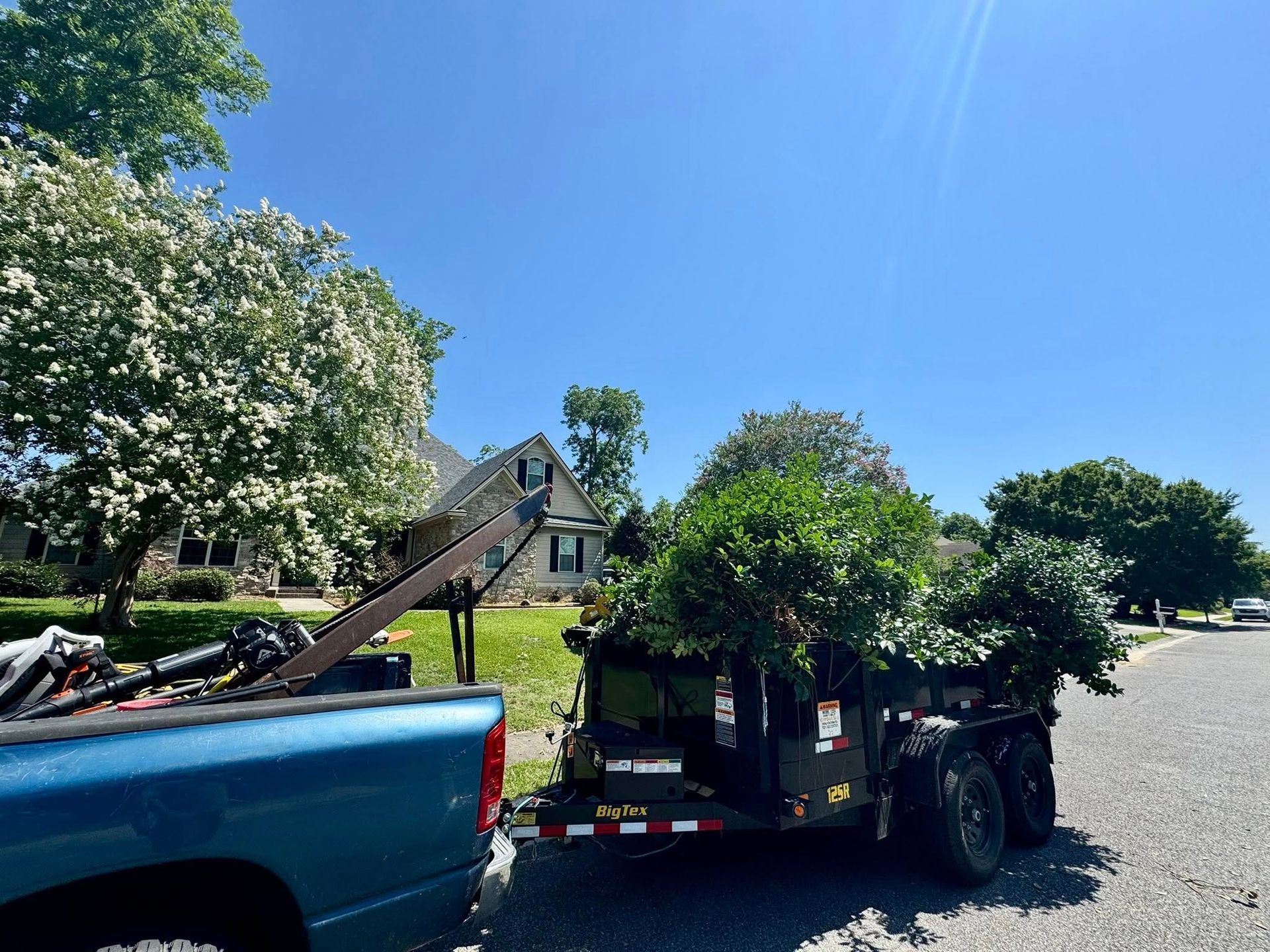 Blue truck towing trailer filled with green yard waste on a sunny day in a residential area.