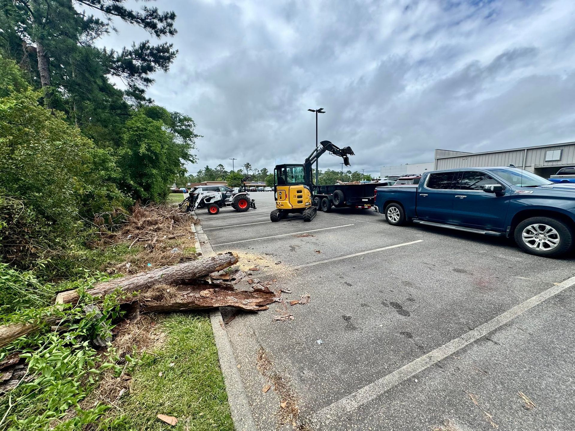 Equipment removing fallen tree in parking lot next to a blue truck and greenery.