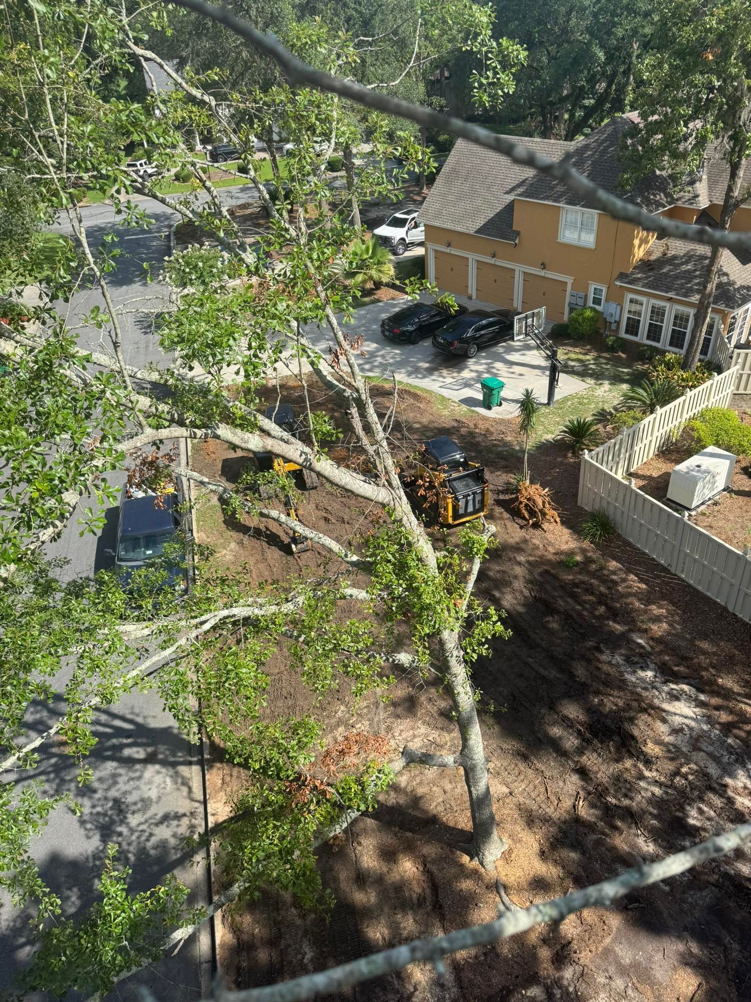 Tree branches frame a yard with a small tractor, cut logs, and a house.