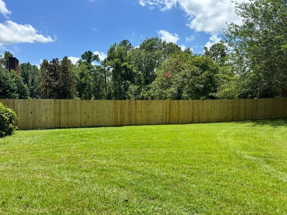 Green lawn in a backyard, with a wooden fence and trees in the background under a blue sky.