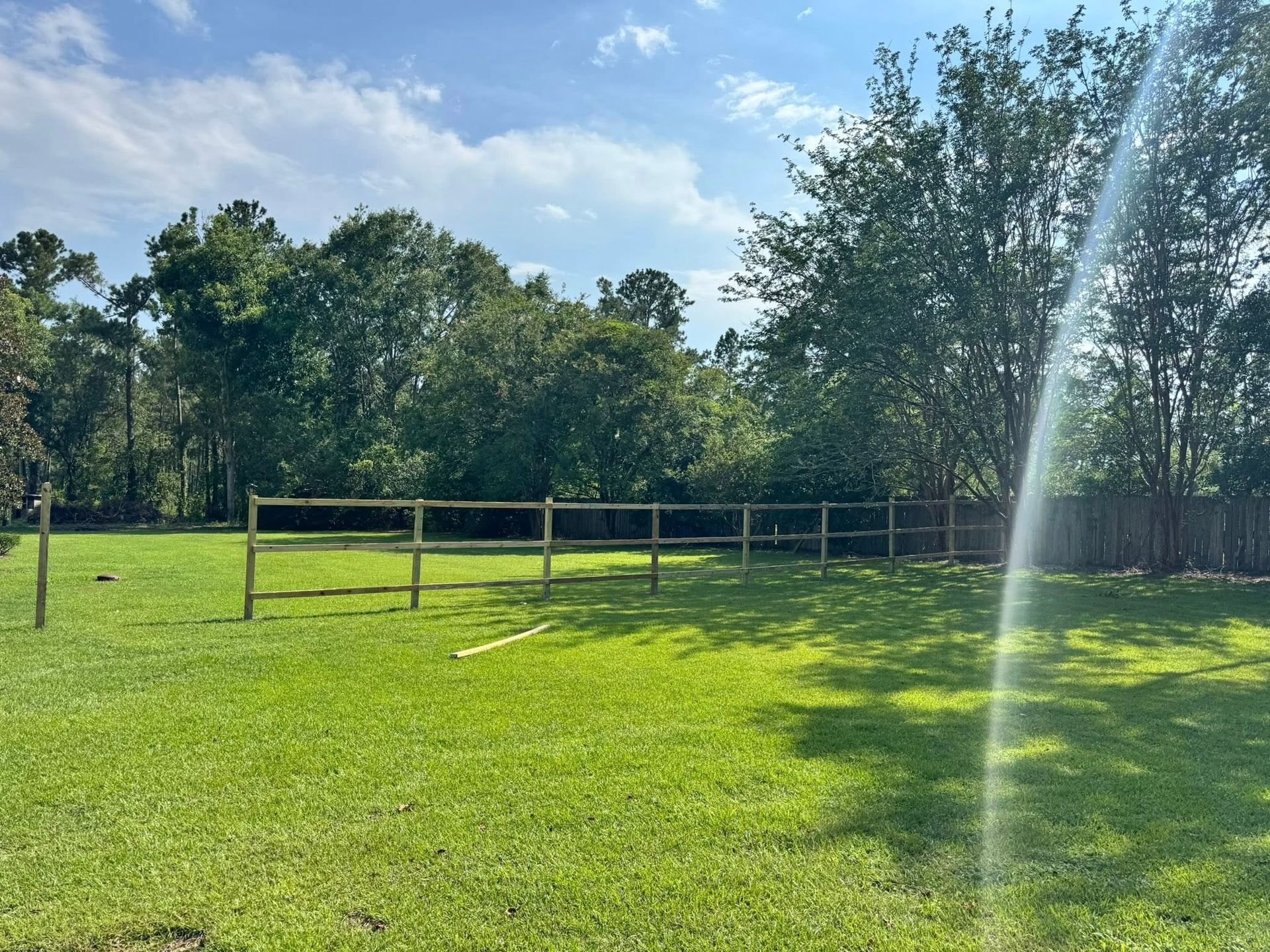 Wooden fence in grassy backyard, trees in background, sunny day.