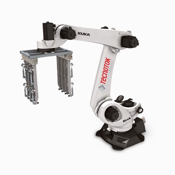 Paletizadora Antropomórfica