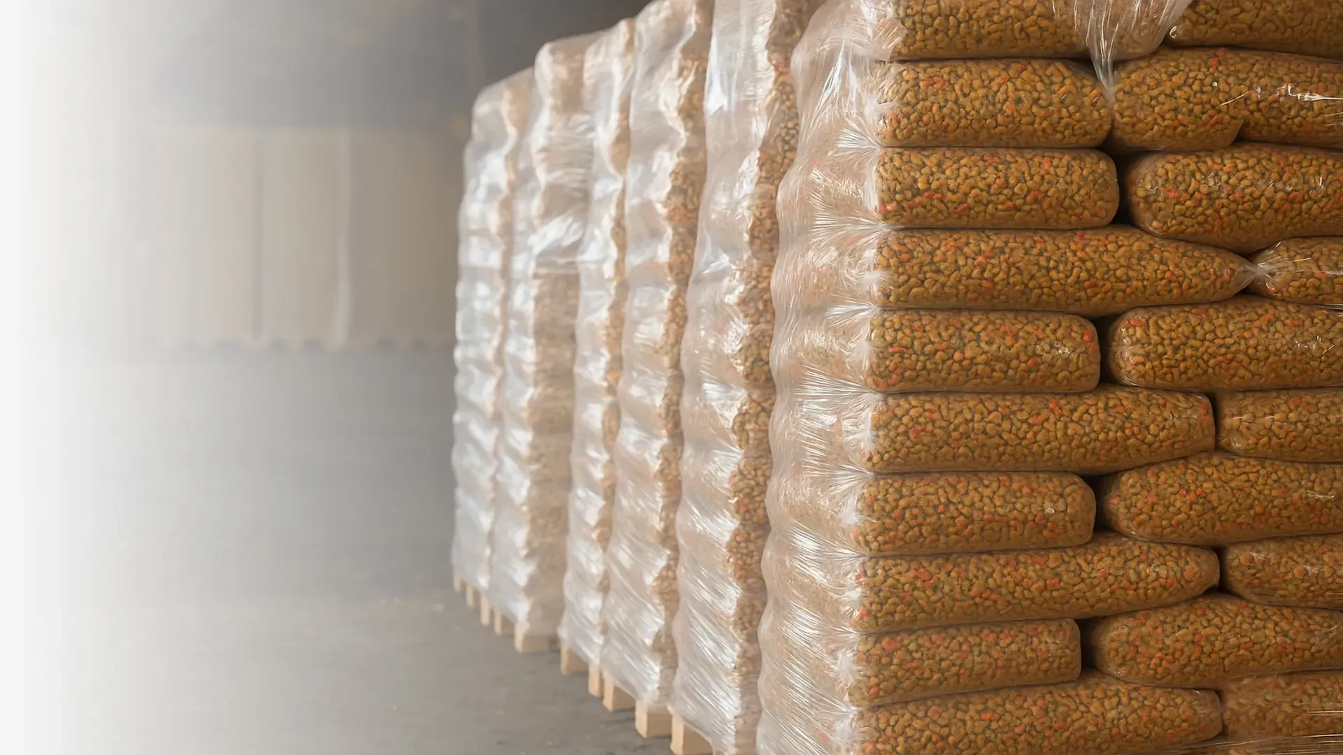 automacao no empacotamento de pet food
