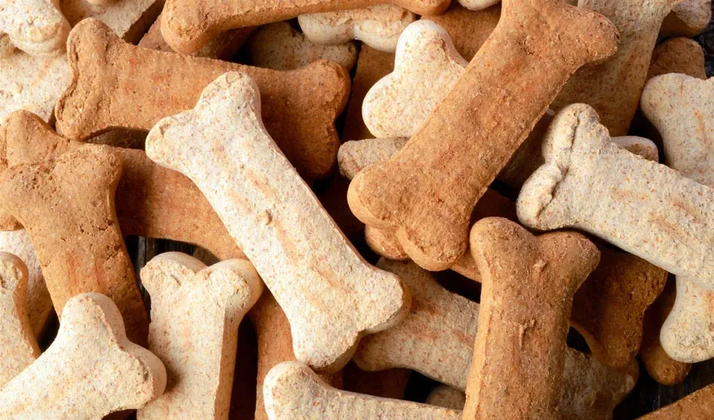 Empacotamento de snacks para pets