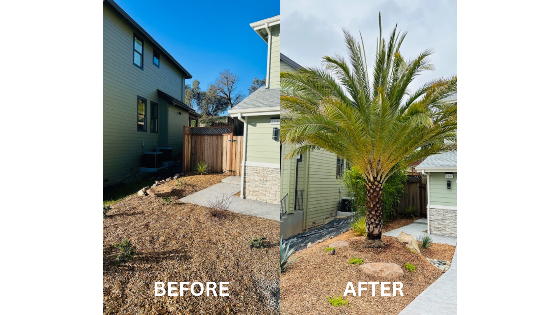 A before and after picture of a house and a palm tree.