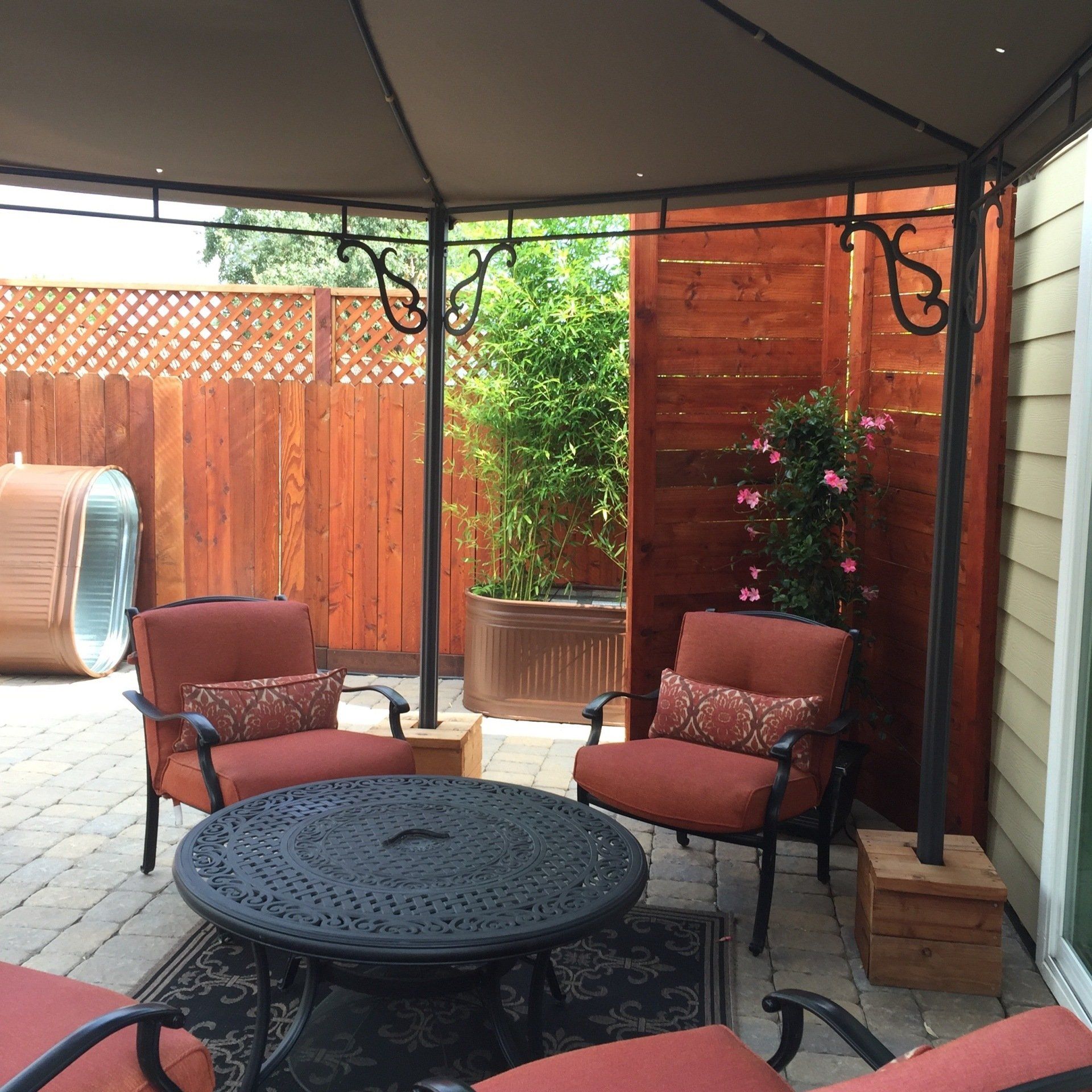 Bissetii Bamboo In Troughs