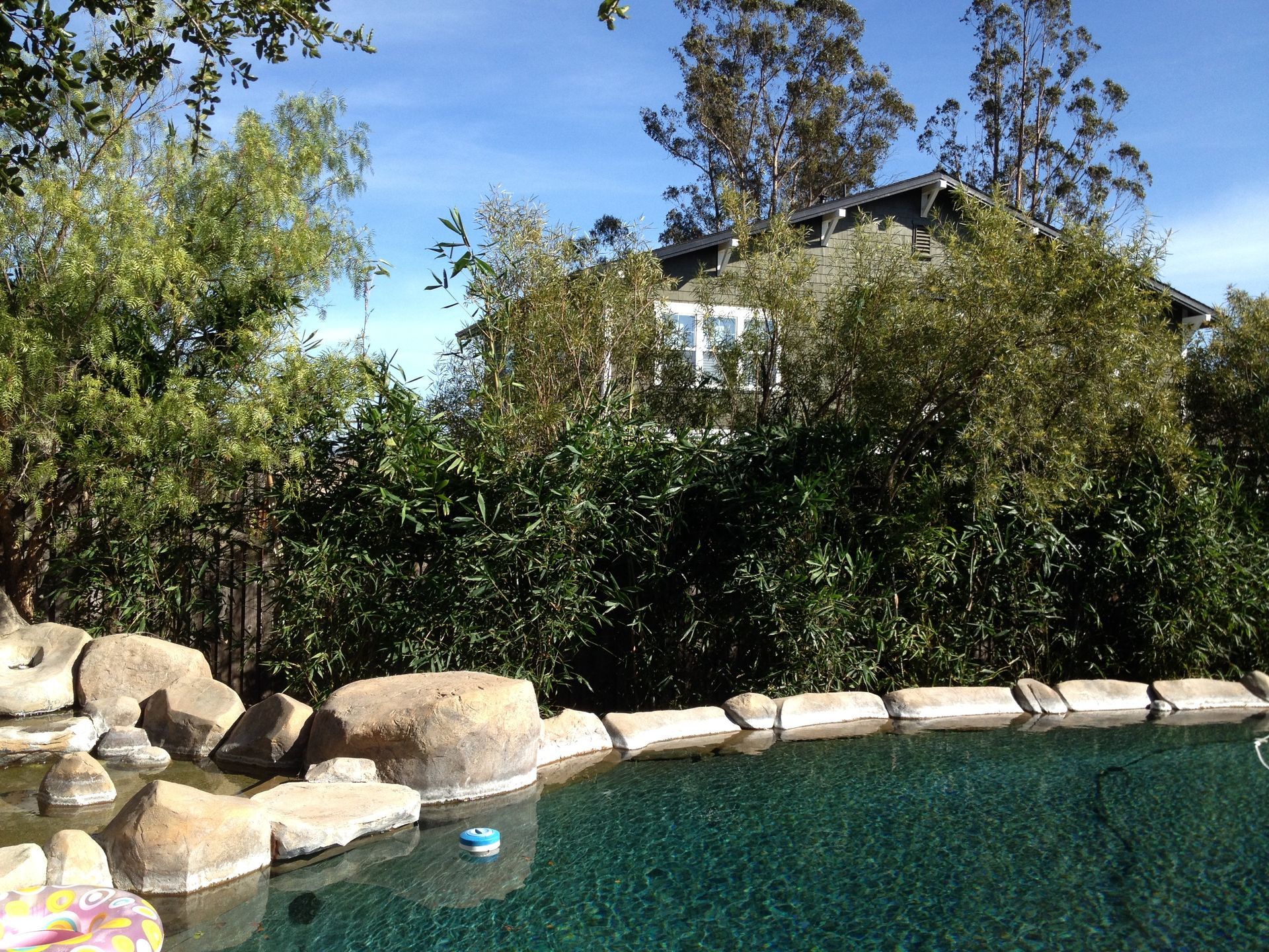 A swimming pool with a house in the background
