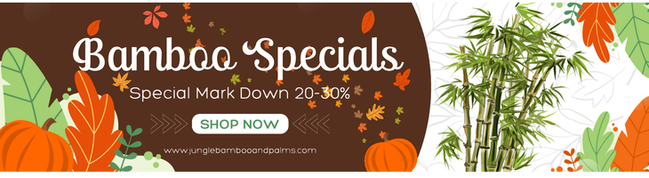 A banner for bamboo specials with pumpkins and leaves