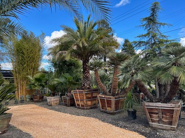 A bunch of potted plants are sitting on the ground in a garden.