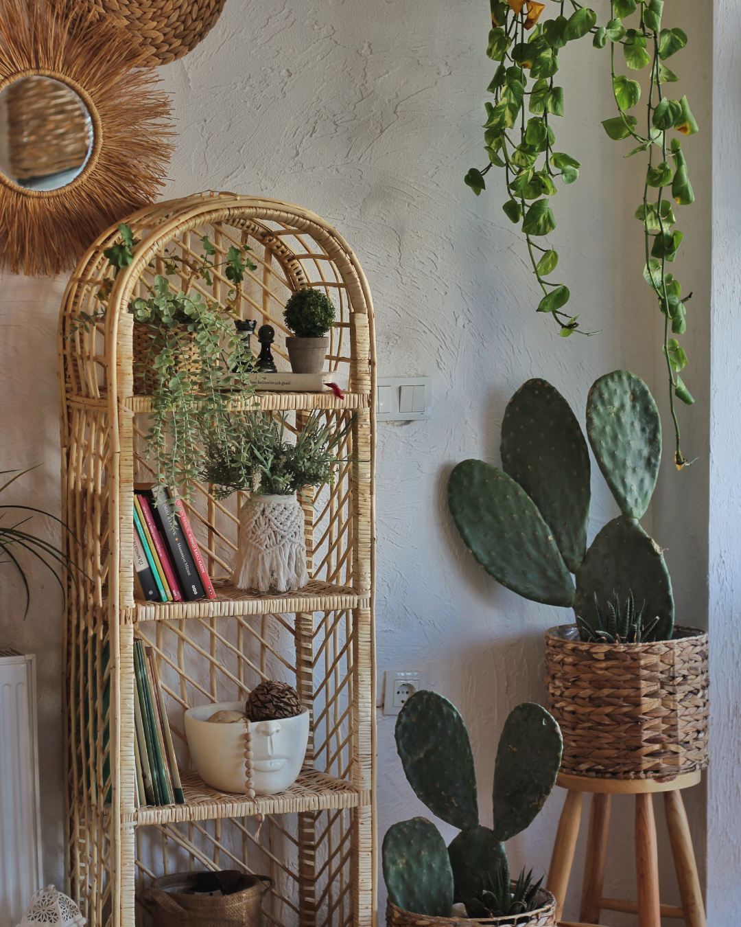Une étagère en osier en forme d'arche, garnie de livres et de plantes, côtoie un grand cactus sur un support en bois et un miroir rond accroché au mur.