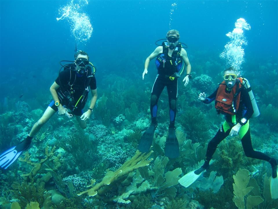 Drie mensen duiken in de oceaan nabij een koraalrif