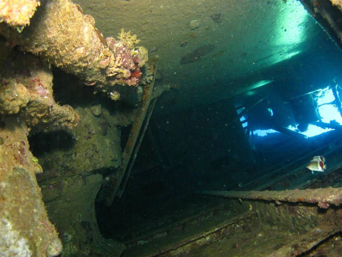 Een duiker zwemt door een tunnel in de oceaan.