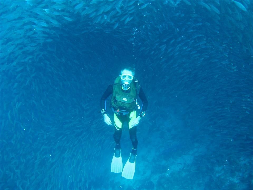 Een duiker zwemt in de oceaan, omringd door vissen.