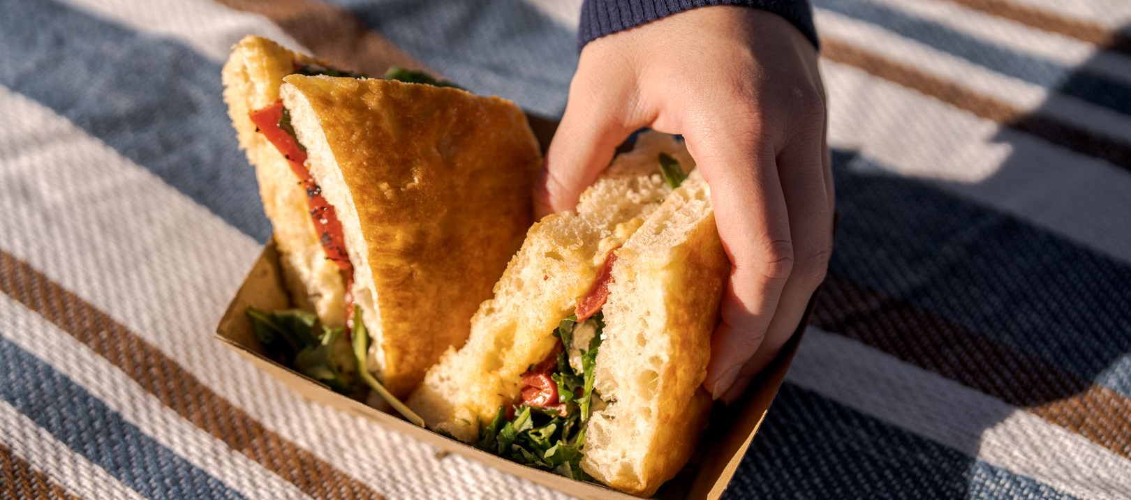 Hand grabbing a sandwich on a blue and brown rug 