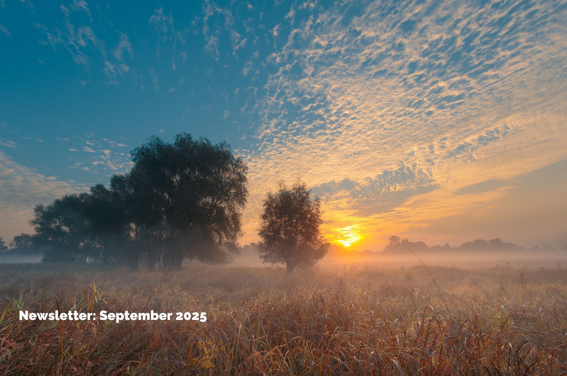 Kube Medical  Newsletter September 2025