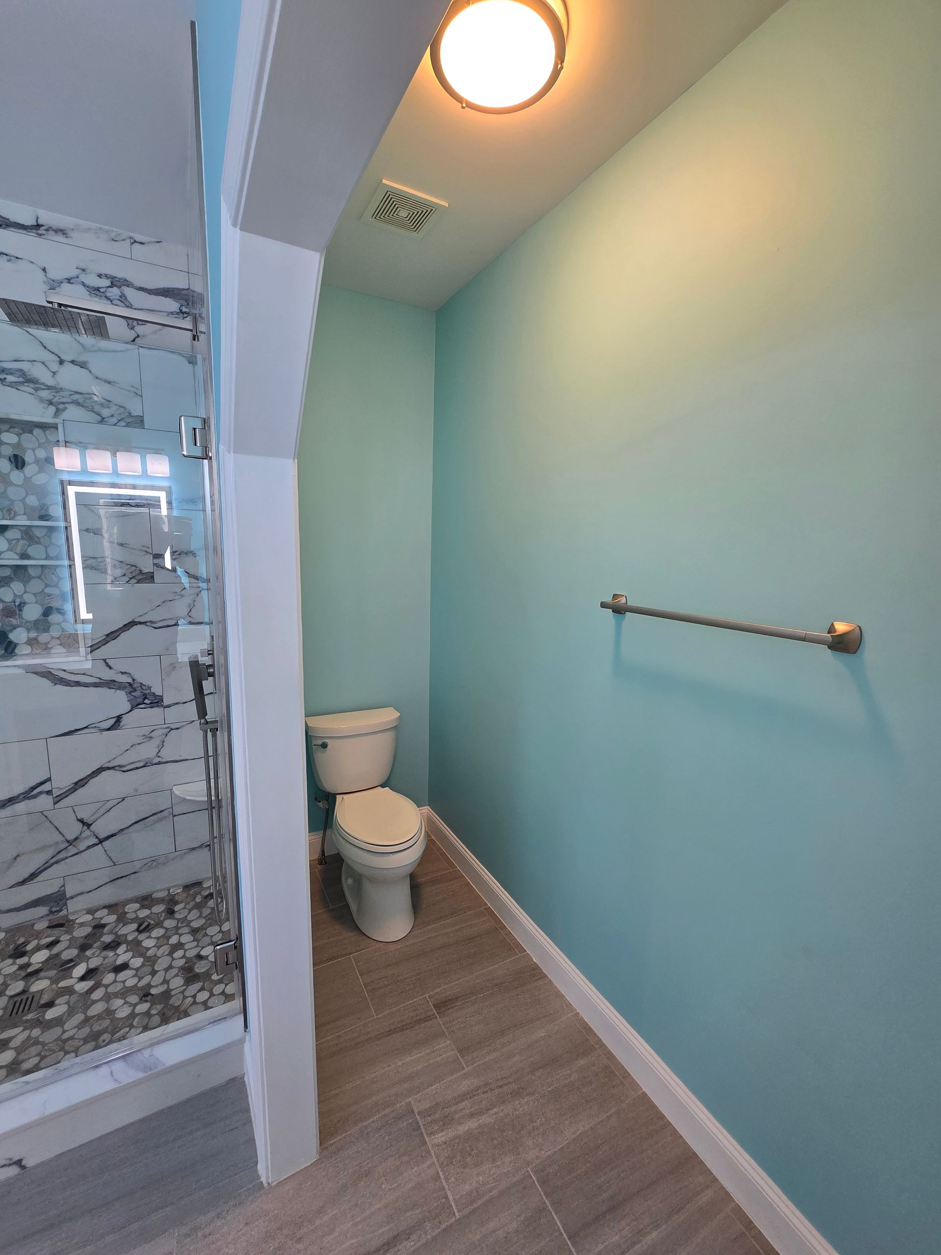 Bathroom with blue walls, a toilet, towel bar, and a marble-tiled shower visible.