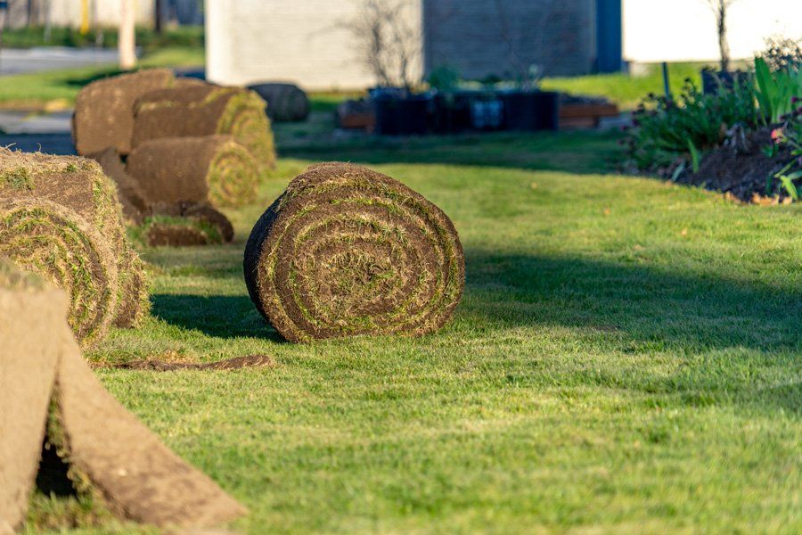 Rolls Of Fresh Sod — Wilmington, NC — Turf Masters Sod Farms