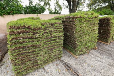 House with Grass Landscape — Wilmington, NC — Turf Masters Sod Farms
