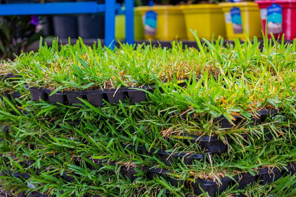 Sod Grass Stacked on a Pallet — Wilmington, NC — Turf Masters Sod Farms