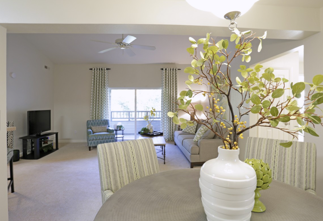 Open-concept living area with dining table in foreground, sofa and TV in the background.