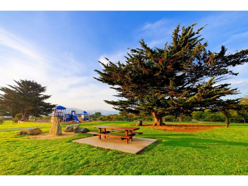 A Picnic Table In A Park With A Playground — Torquay & Anglesea Accident Towing Centre In Apollo Bay, VIC