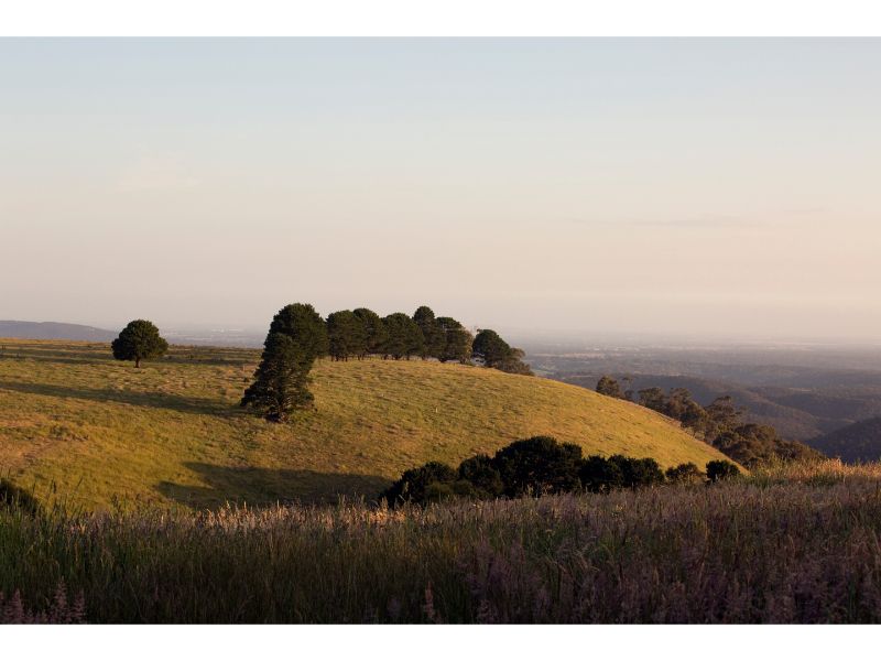 A Hill With Trees On It And A Field In The Foreground — Torquay & Anglesea Accident Towing Centre In Bacchus Marsh, VIC