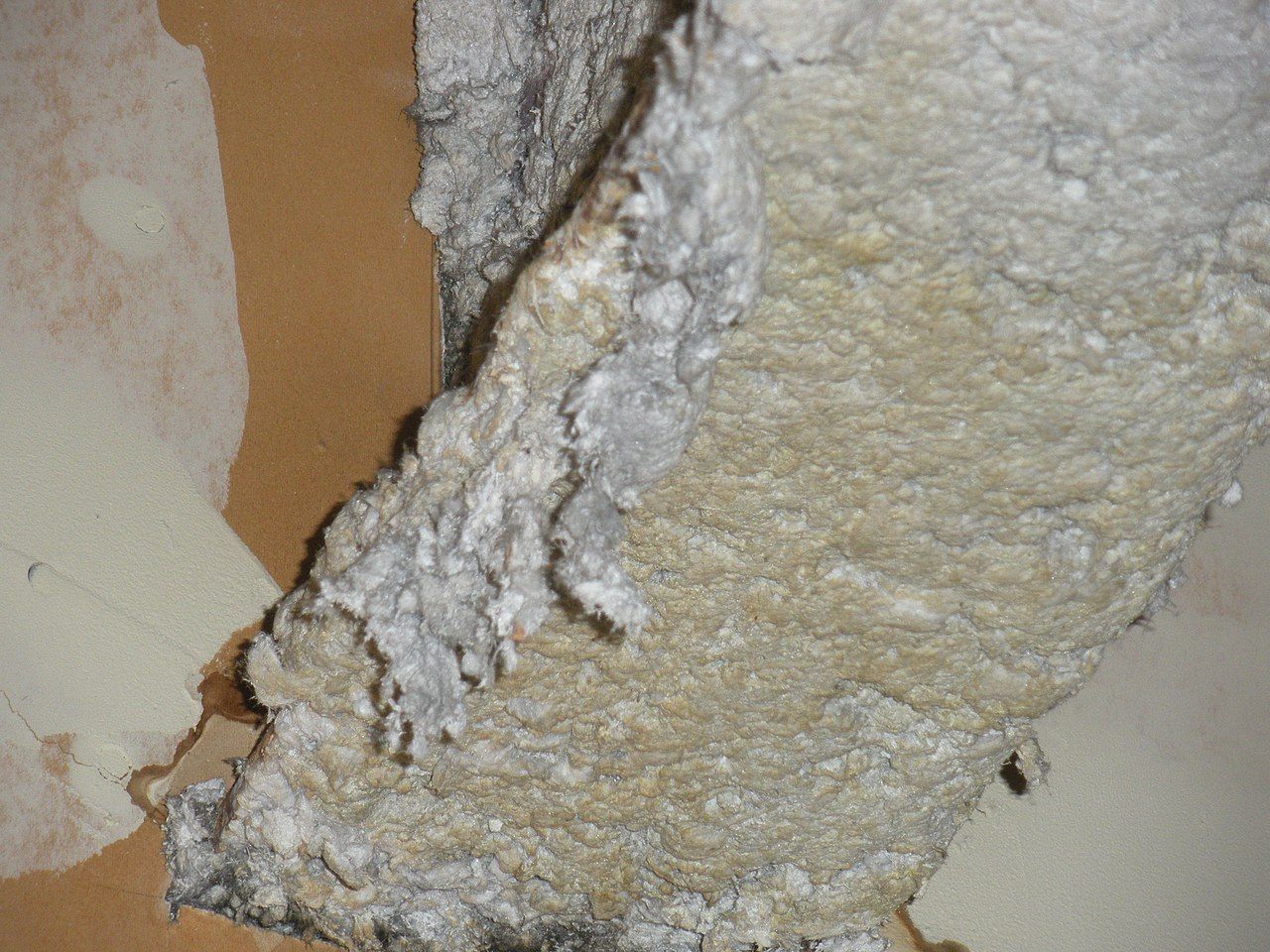 Asbestos in the home