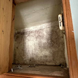 Dampness in cupboard