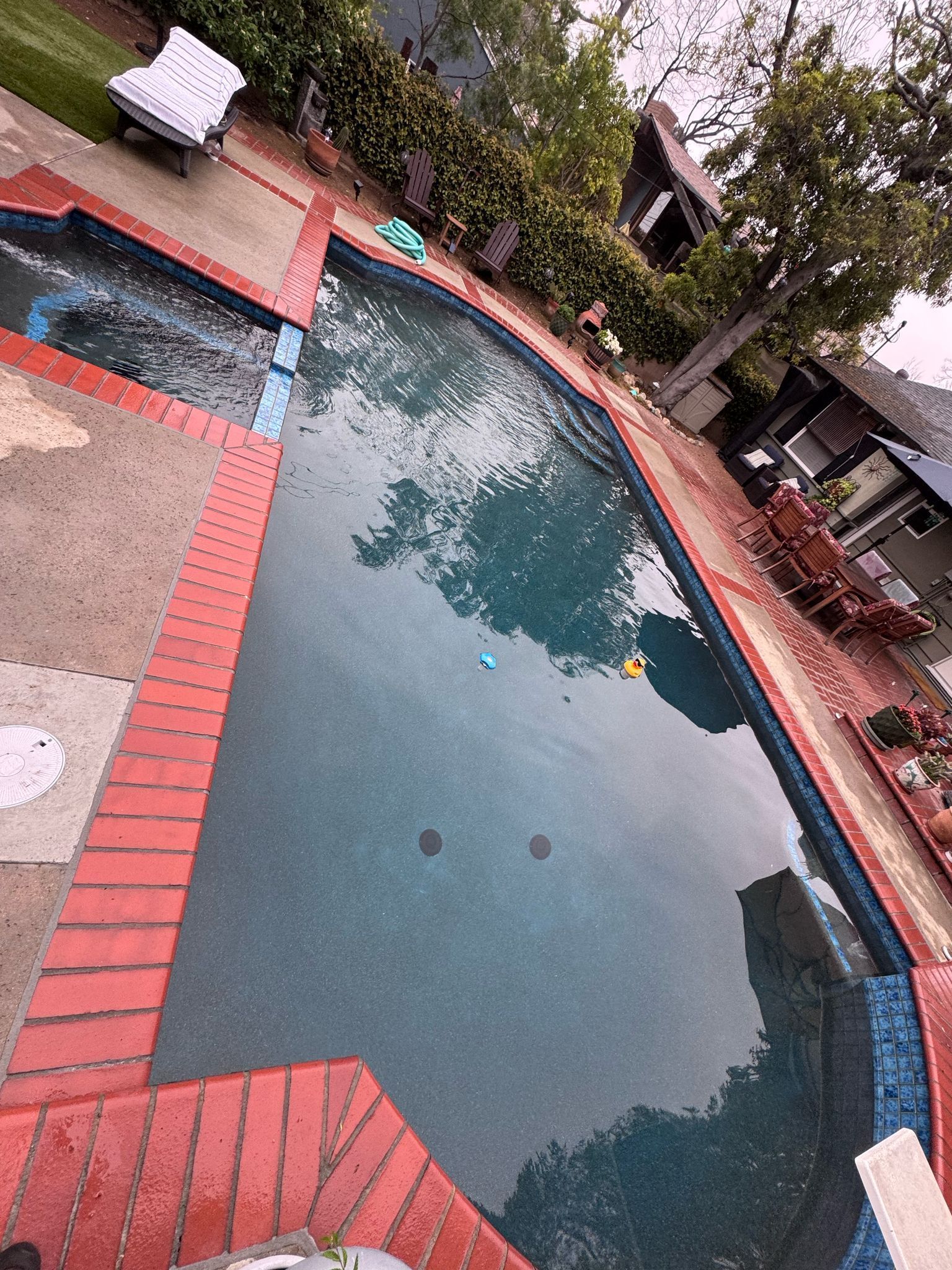 An aerial view of a large swimming pool in a backyard.