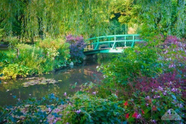images from Monet’s gardens