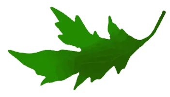 Green leaf silhouette on a white background