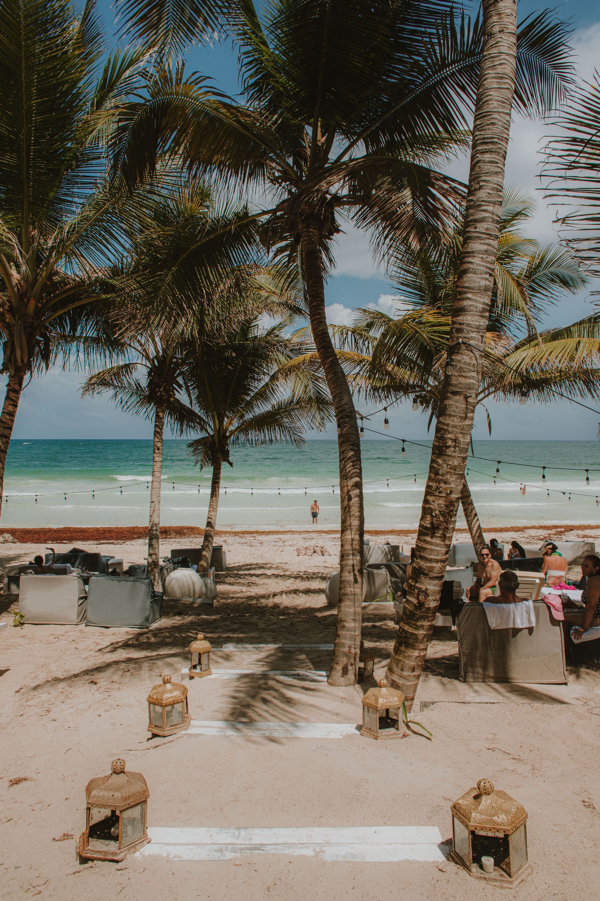 Beach scene with palm trees, sandy ground, and ocean in the background. Several people are visible.