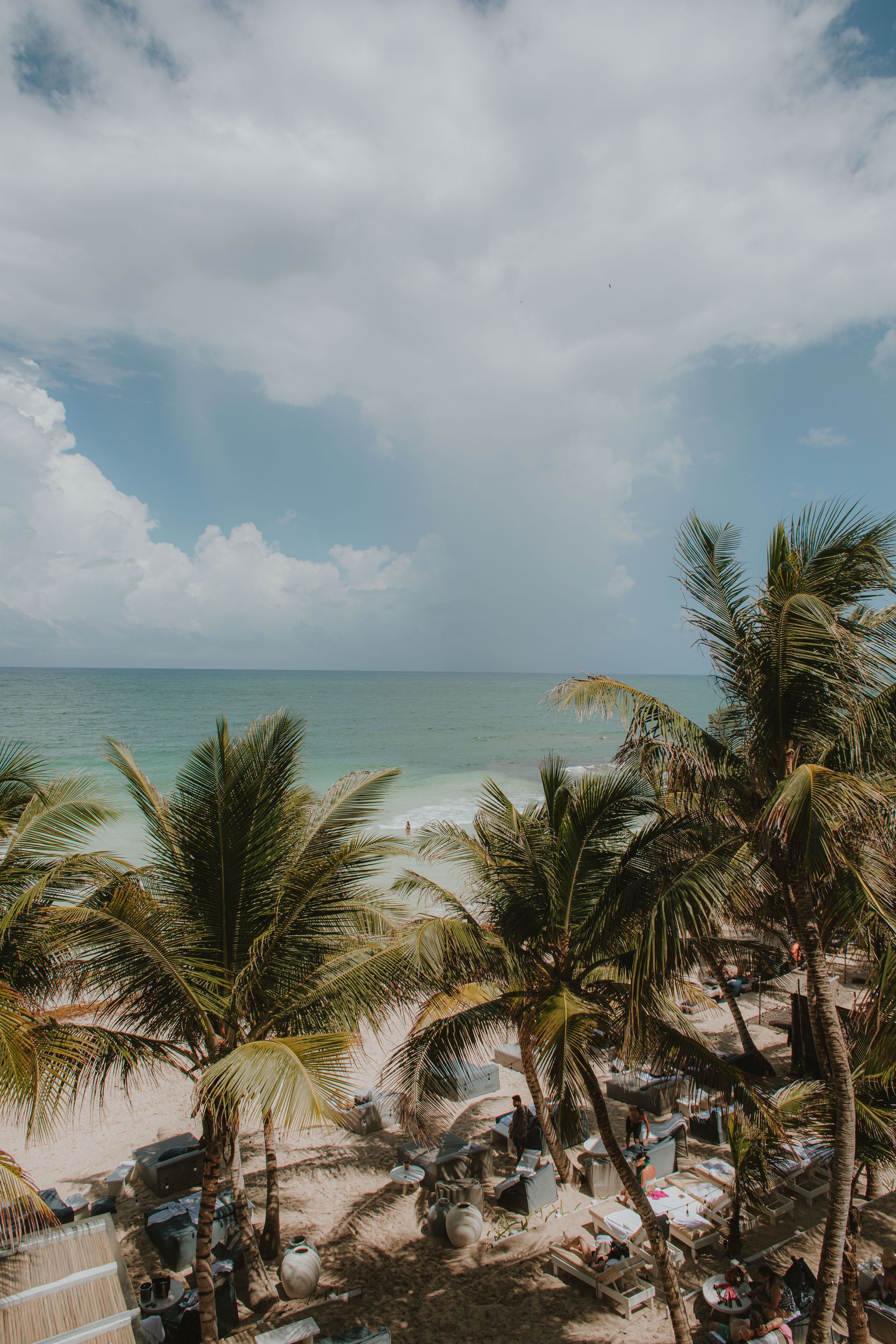 Palm trees frame ocean view under cloudy sky.