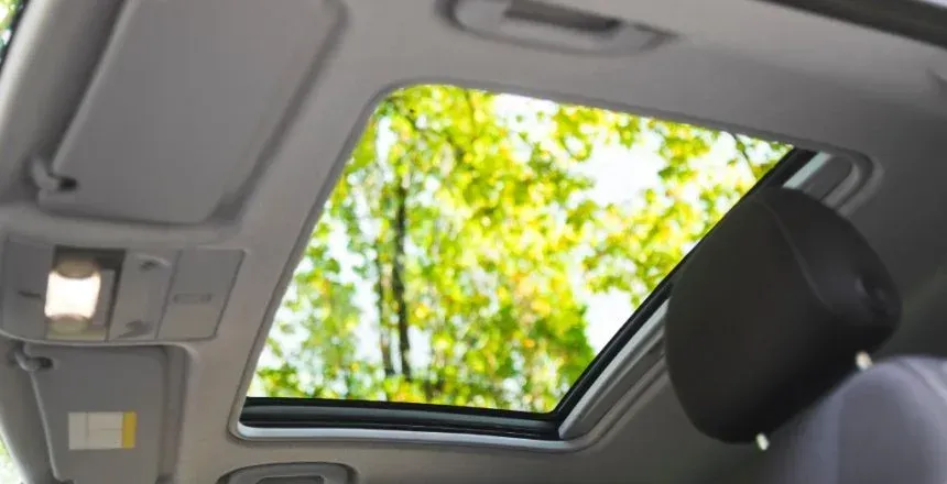 Sunroof open in car, showing green trees against a cloudy sky. Interior shot.