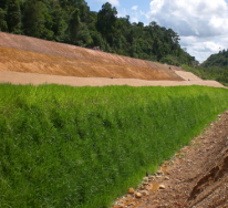 Green grass and brown earth embankment along a roadside ditch, backed by a forested hillside.